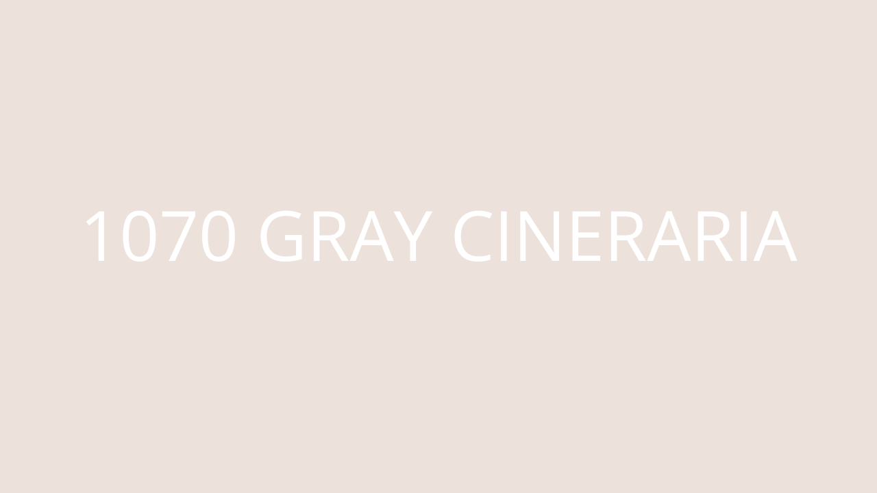 Панель Compact HPL ASD 1070 Gray Cineraria Matt 12 мм